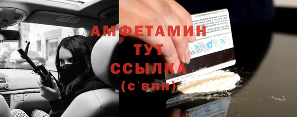 ГАЛЛЮЦИНОГЕННЫЕ ГРИБЫ Михайлов