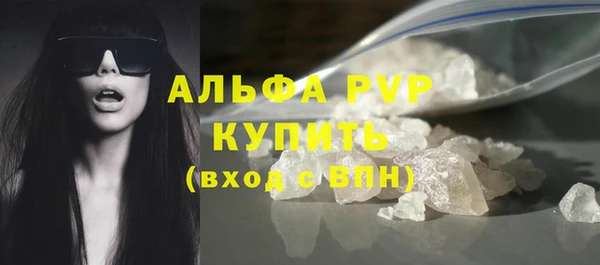ГАЛЛЮЦИНОГЕННЫЕ ГРИБЫ Михайлов