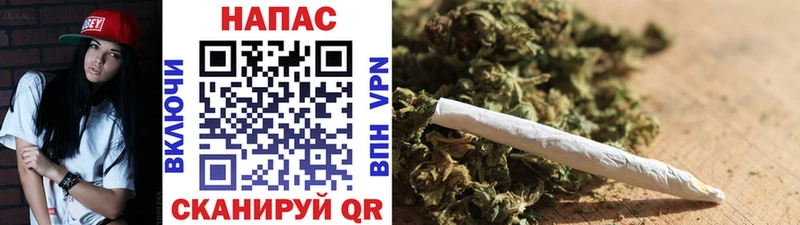 где продают   Карачев  Канабис VHQ 
